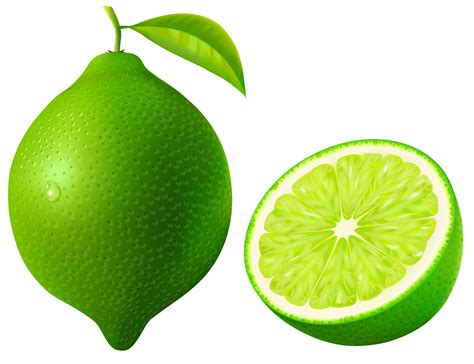 lime clip art|lime clip art images.